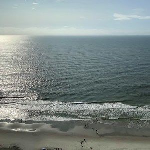 Meet your Posher, Sylvia